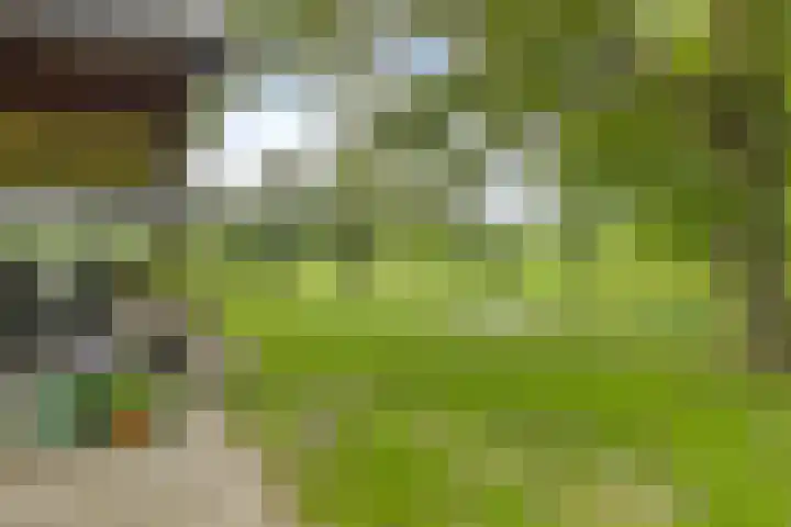 Dollemansstraat 4 Baak thumbnail 17