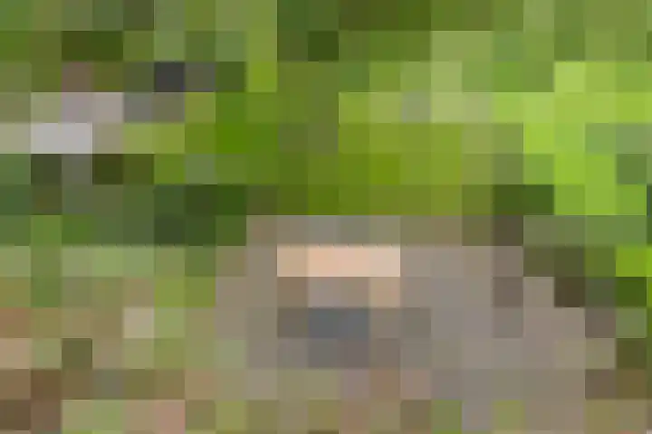 Dollemansstraat 4 Baak thumbnail 18