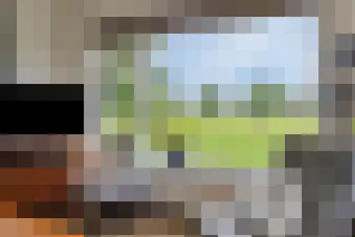 Dollemansstraat 4 Baak thumbnail 22