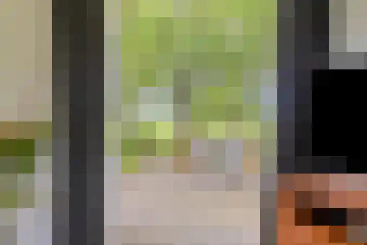 Dollemansstraat 4 Baak thumbnail 23