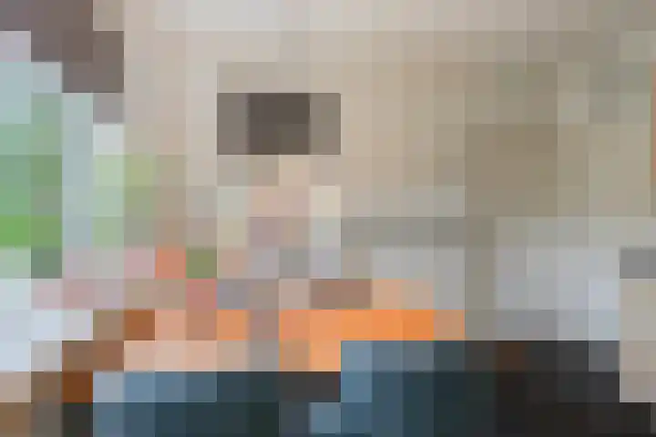 Dollemansstraat 4 Baak thumbnail 24