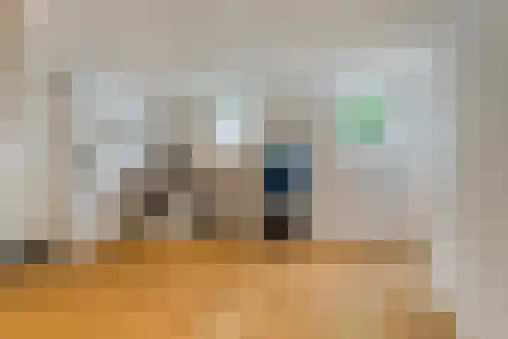 Dollemansstraat 4 Baak thumbnail 29