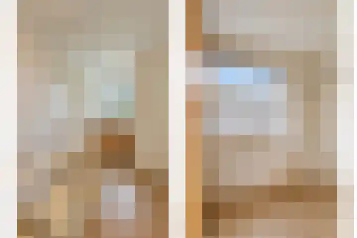 Dollemansstraat 4 Baak thumbnail 32
