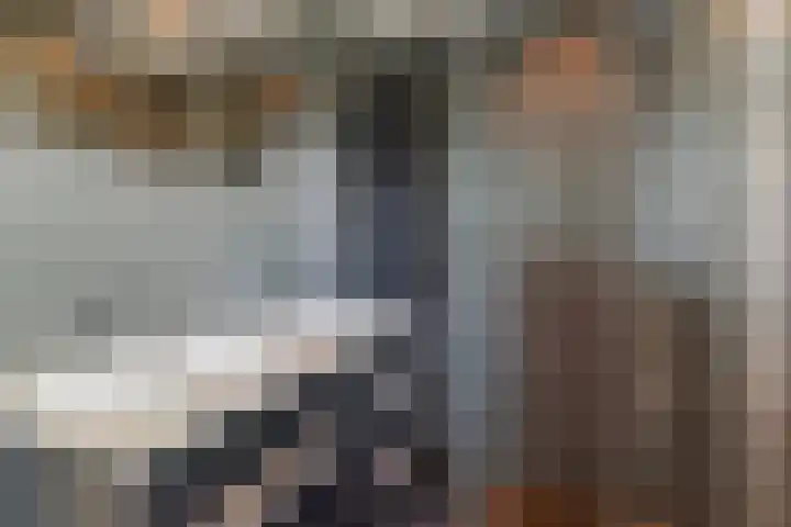 Dollemansstraat 4 Baak thumbnail 34