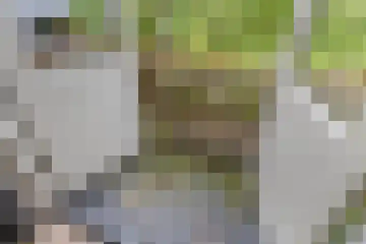 Dollemansstraat 4 Baak thumbnail 37
