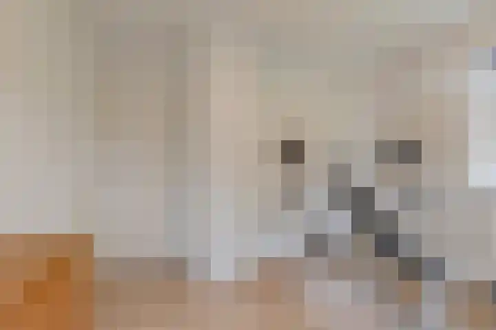Dollemansstraat 4 Baak thumbnail 40