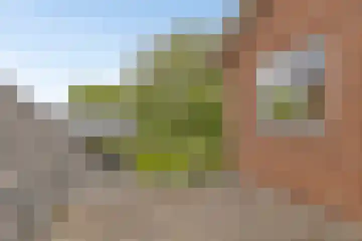 Dollemansstraat 4 Baak thumbnail 41