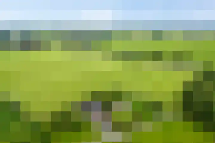 Dollemansstraat 4 Baak thumbnail 43