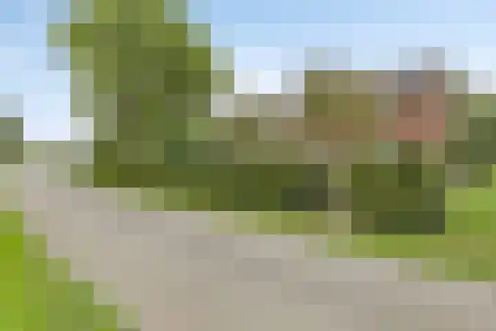 Dollemansstraat 4 Baak thumbnail 44