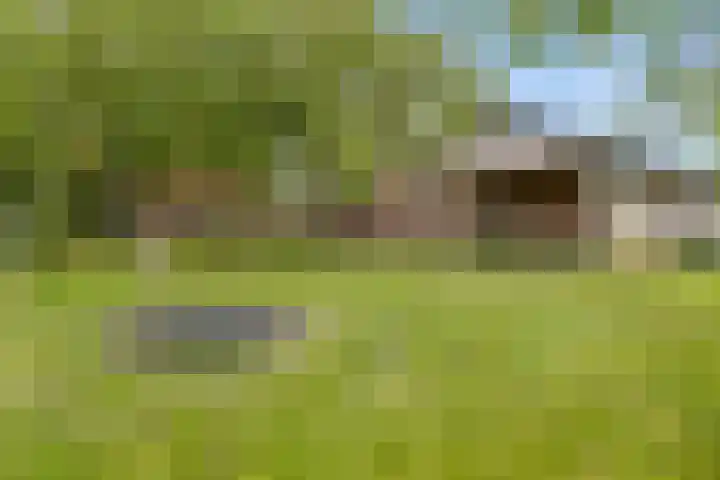 Dollemansstraat 4 Baak thumbnail 5