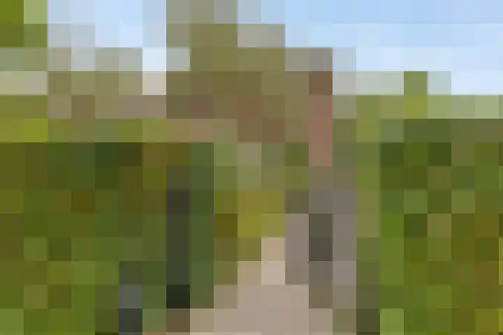Dollemansstraat 4 Baak thumbnail 7