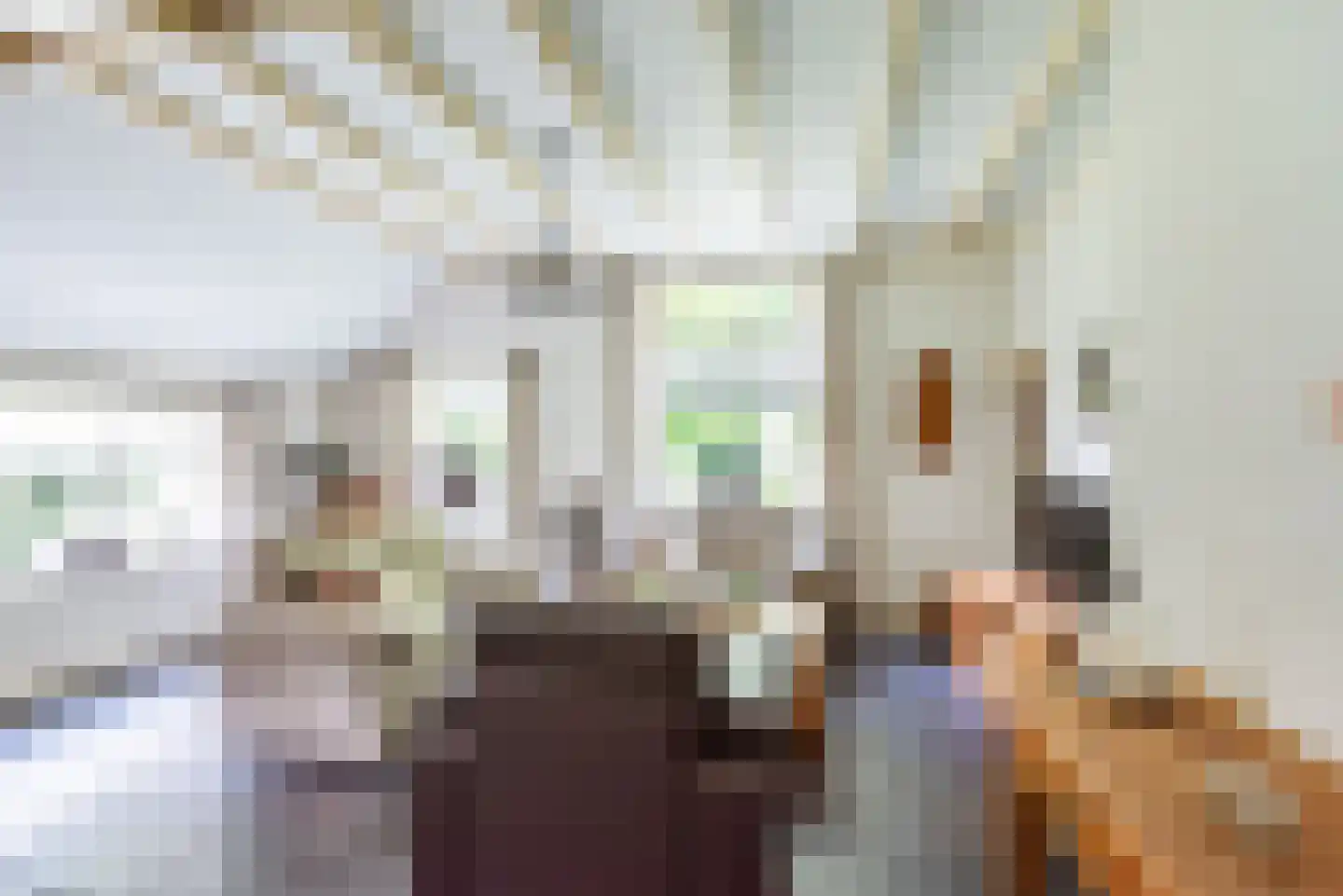 Dollemansstraat 7 Baak thumbnail 11