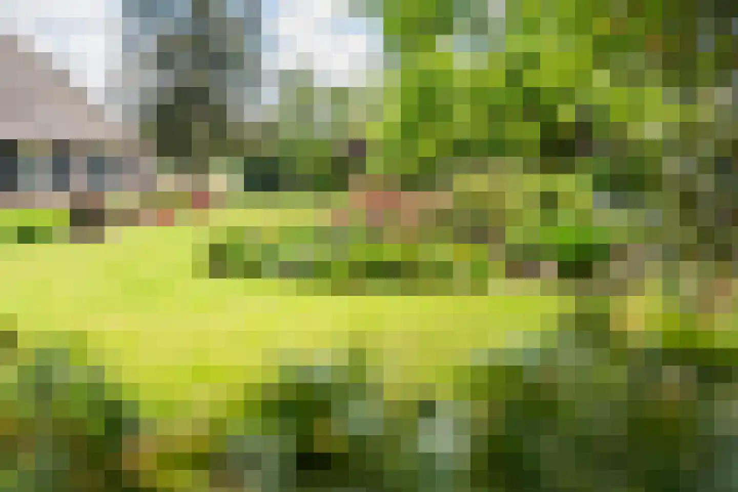 Dollemansstraat 7 Baak thumbnail 32