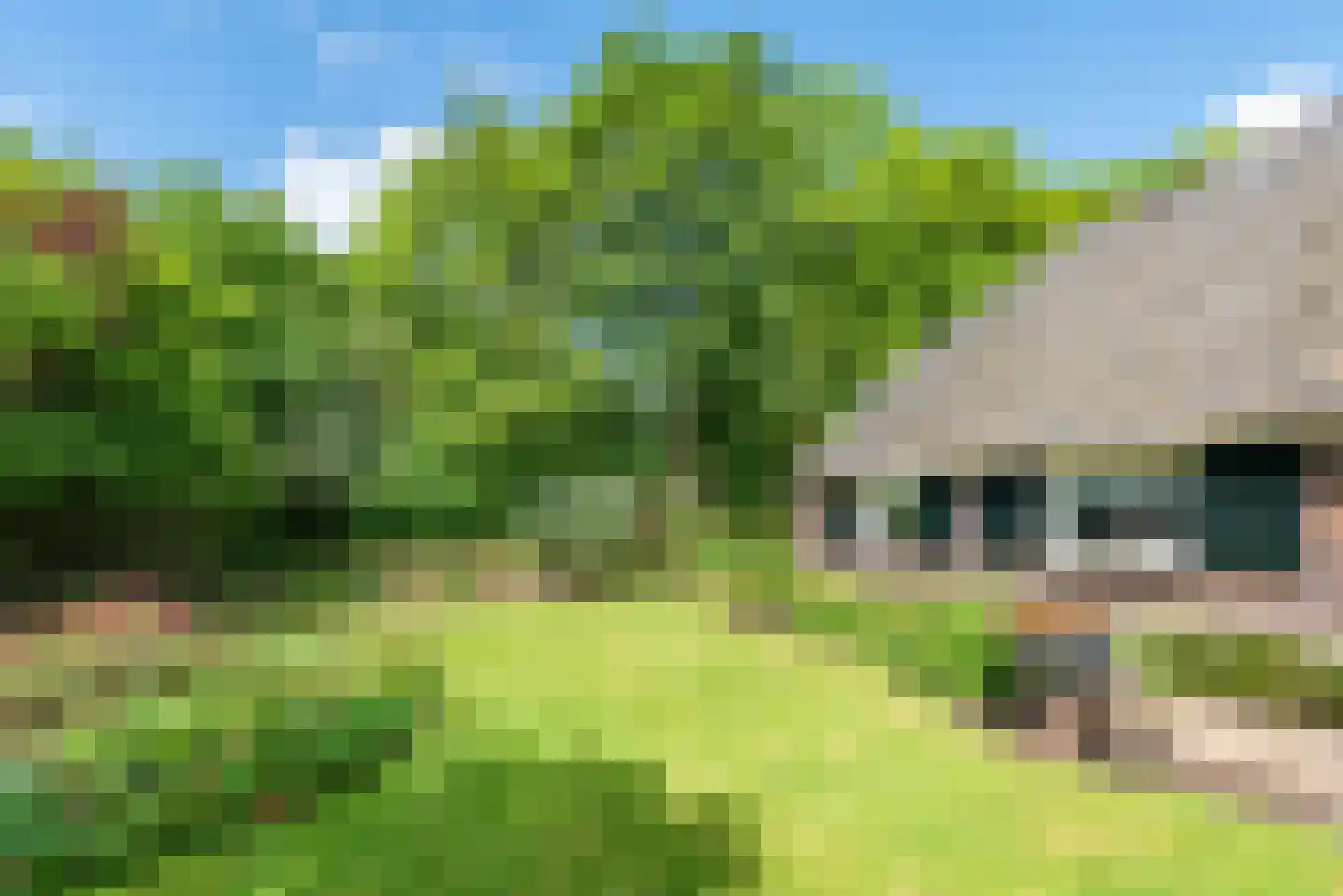 Dollemansstraat 7 Baak thumbnail 33