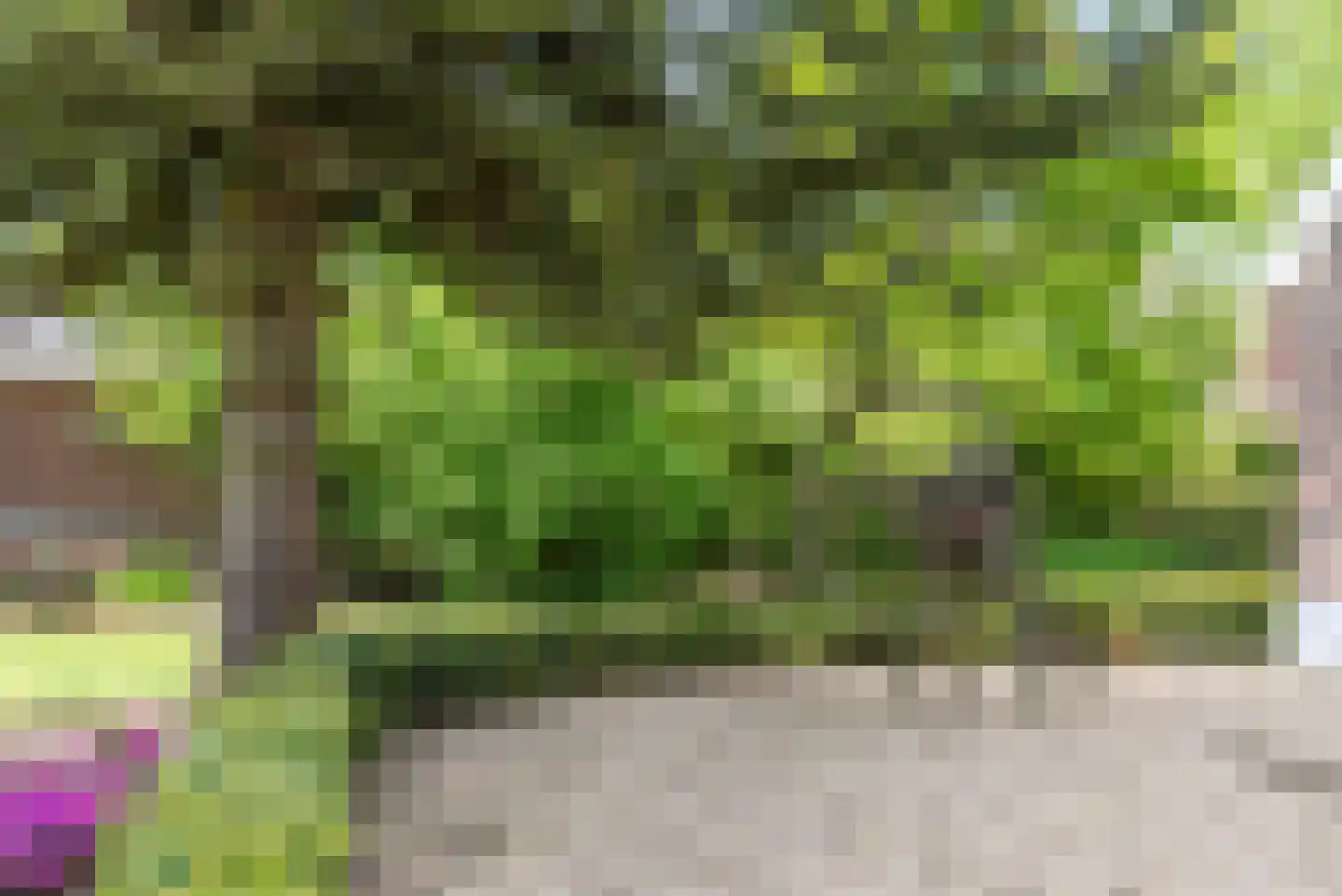 Dollemansstraat 7 Baak thumbnail 35
