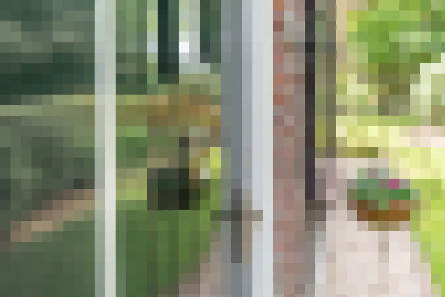 Dollemansstraat 7 Baak thumbnail 36