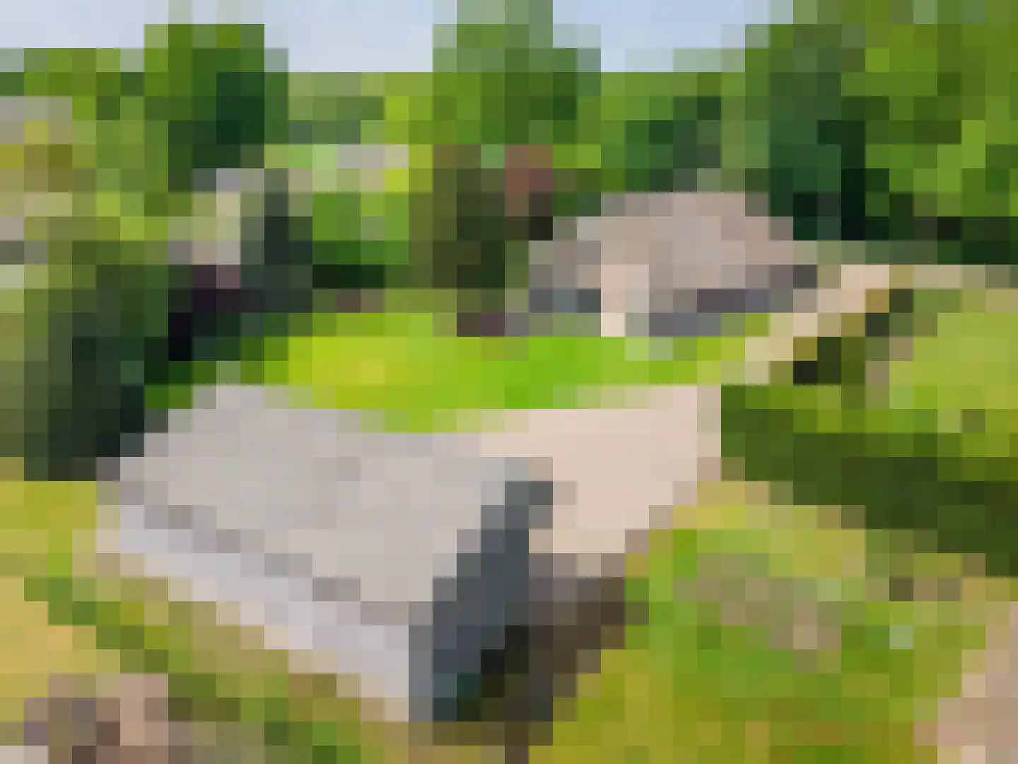 Dollemansstraat 7 Baak thumbnail 4