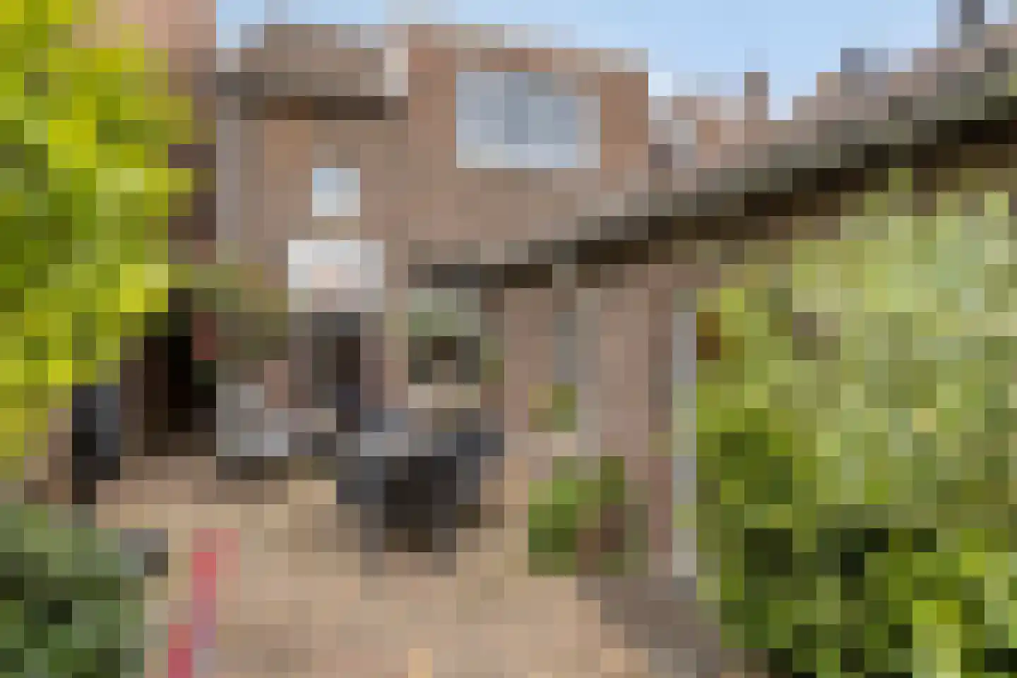 Dolmansstraat 35 Maastricht thumbnail 4