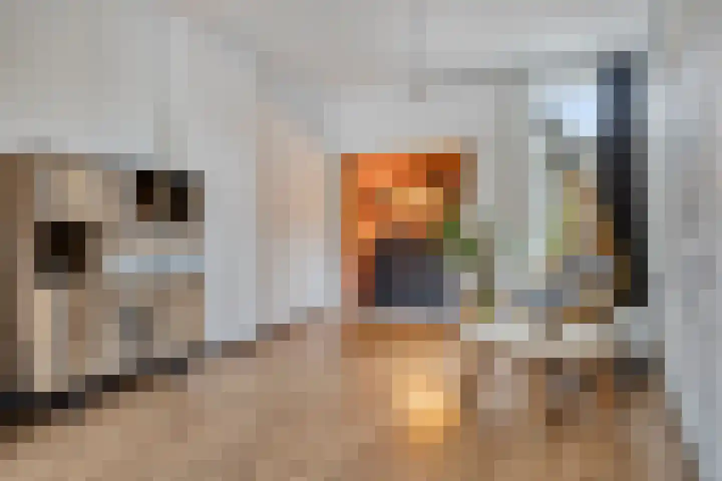 Dolmansstraat 35 Maastricht thumbnail 8