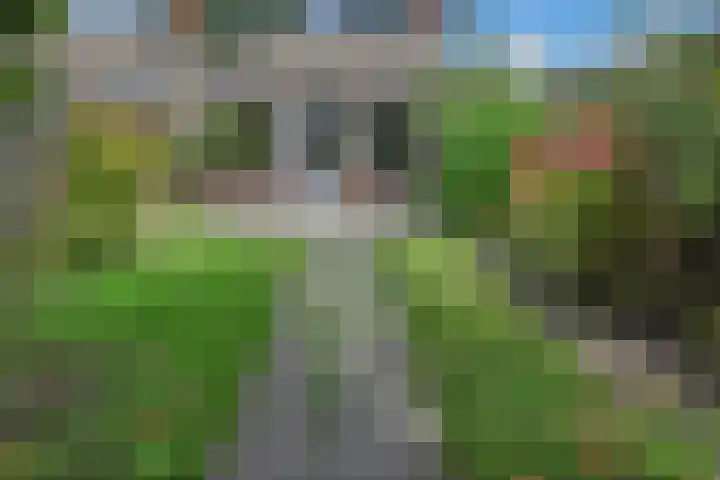 Dolomiet 19 Zoetermeer thumbnail 12