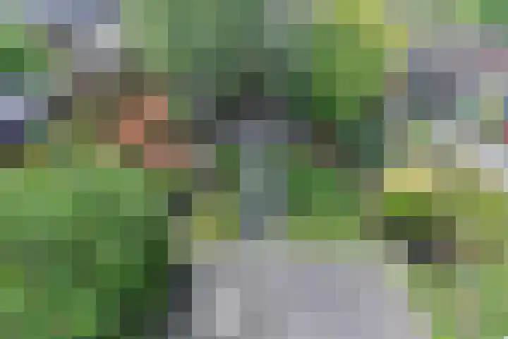 Dolomiet 19 Zoetermeer thumbnail 27