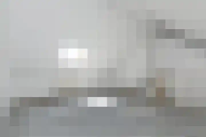 Dolomiet 19 Zoetermeer thumbnail 33
