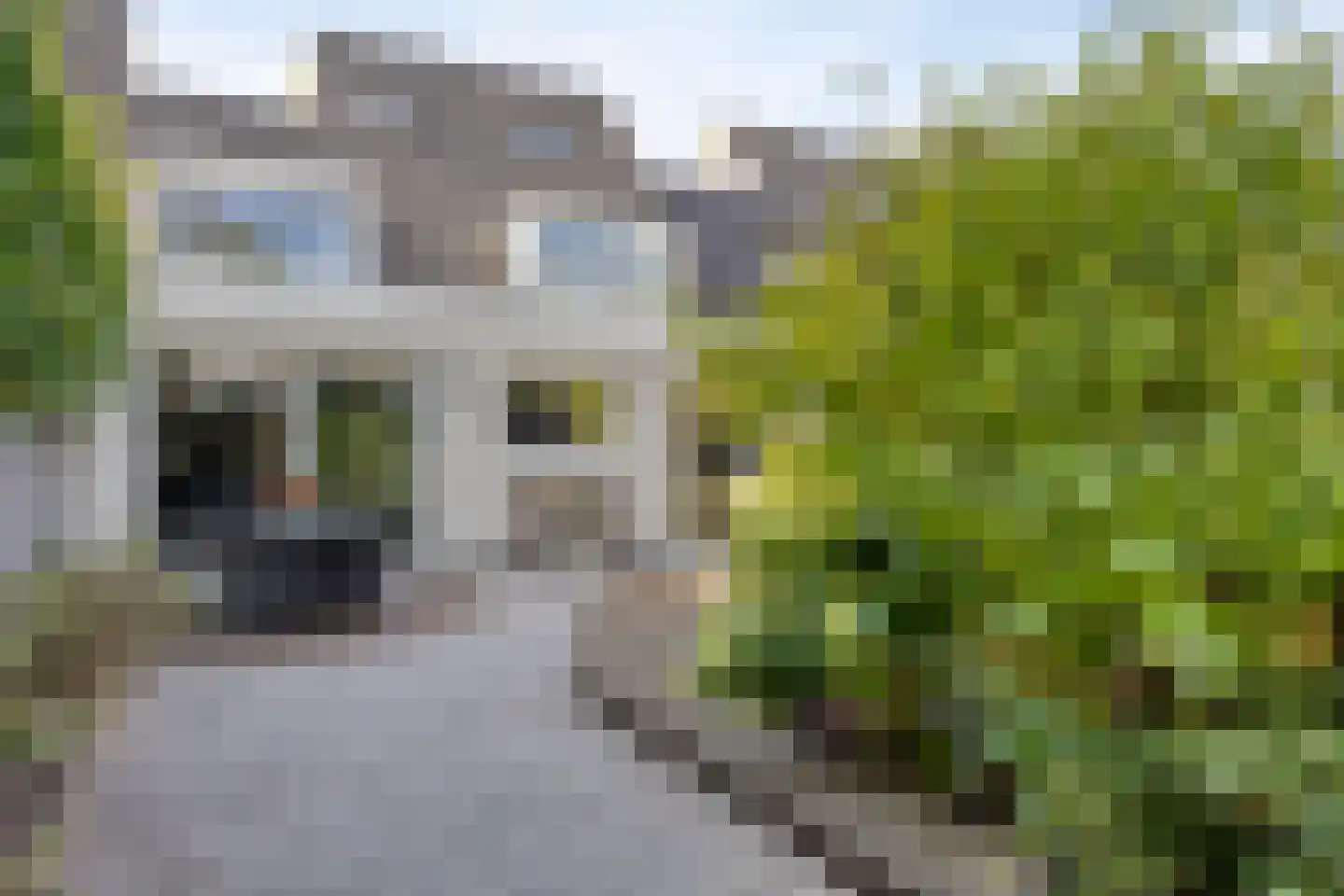Dolomiet 21 Eindhoven thumbnail 33