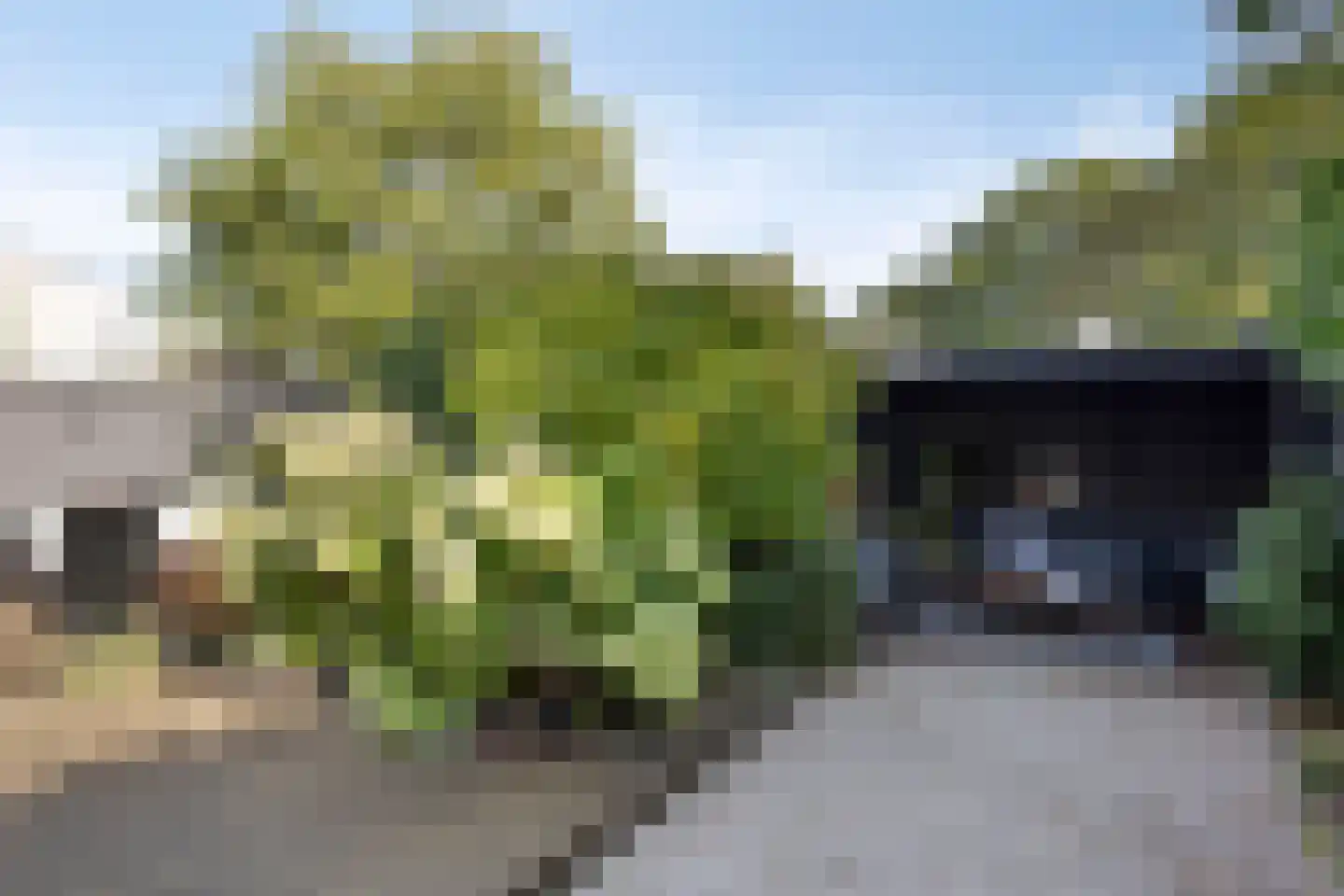 Dolomiet 21 Eindhoven thumbnail 34