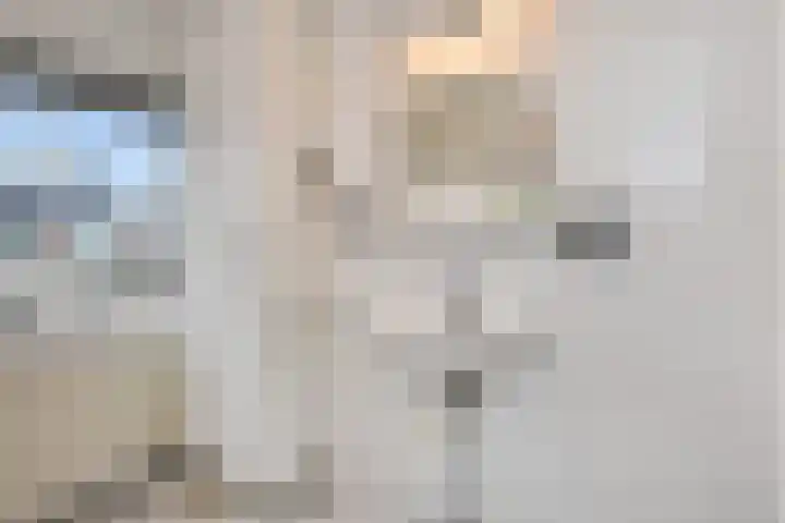 Dolomiet 27 Zoetermeer thumbnail 30