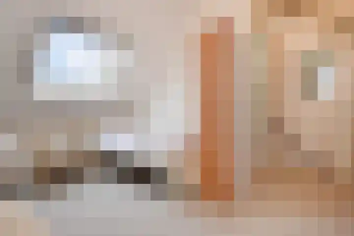 Dolomiet 27 Zoetermeer thumbnail 35