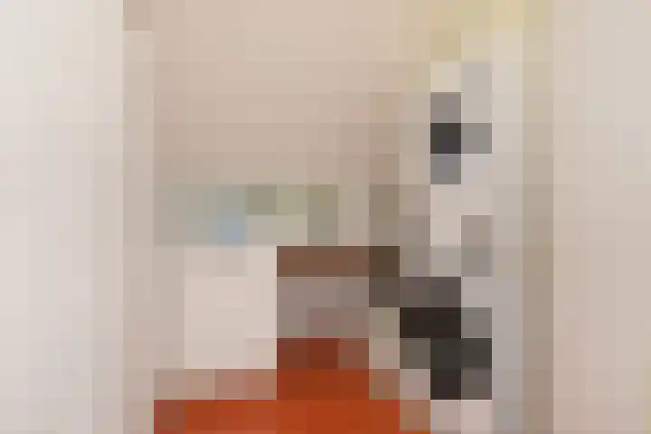 Dolomiet 27 Zoetermeer thumbnail 36