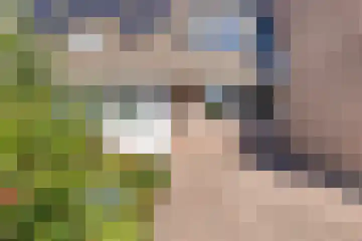 Dolomietdijk 5 Roosendaal thumbnail 30