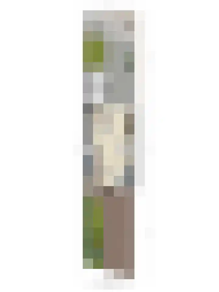 Dolomietdijk 5 Roosendaal thumbnail 34