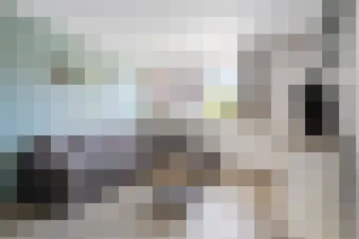 Dolomietdijk 5 Roosendaal thumbnail 4