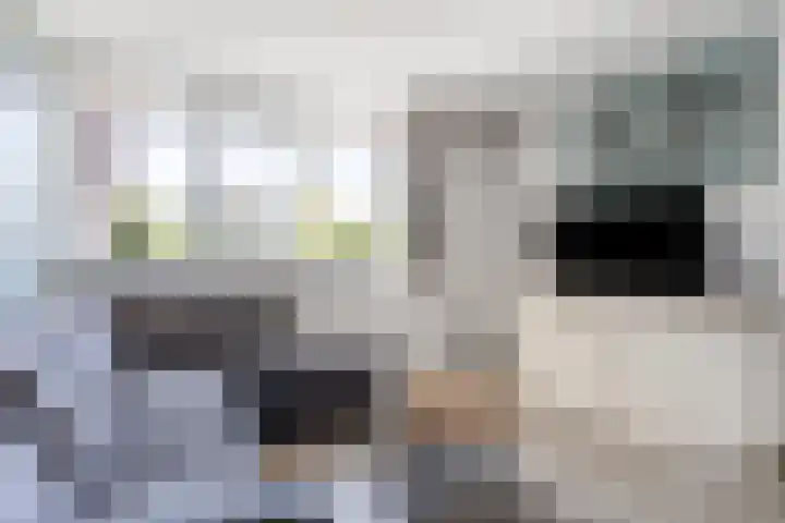 Dolomietdijk 5 Roosendaal thumbnail 5