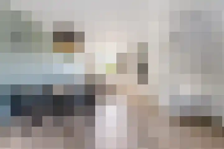 Dolomietdijk 5 Roosendaal thumbnail 8