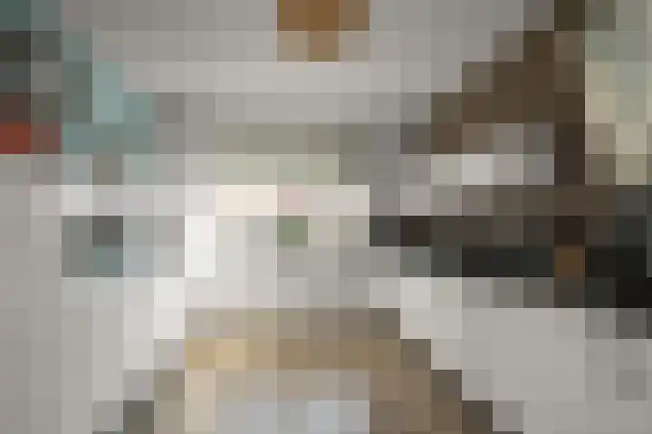 Dolomieten 10 Assendelft thumbnail 11