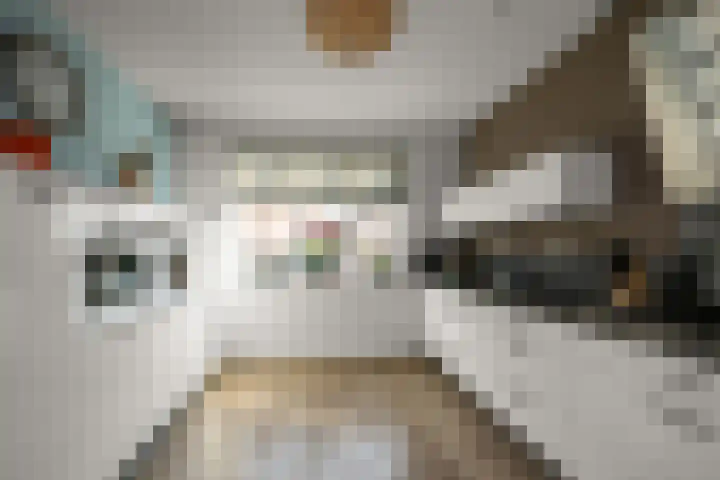 Dolomieten 10 Assendelft thumbnail 13