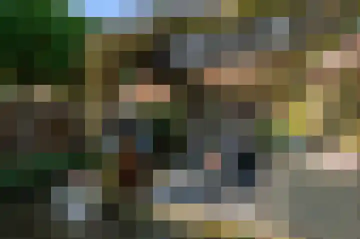 Dolomieten 10 Assendelft thumbnail 15