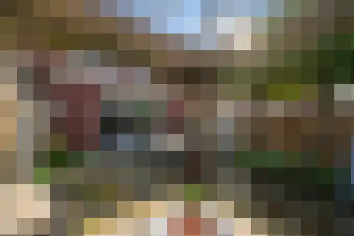 Dolomieten 10 Assendelft thumbnail 17