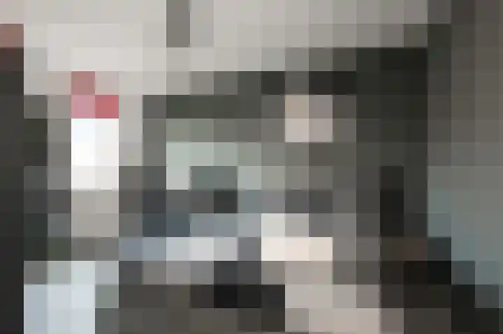 Dolomieten 10 Assendelft thumbnail 19
