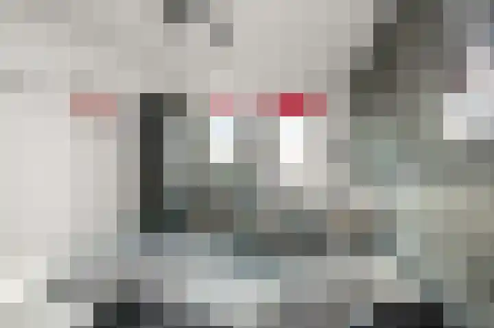 Dolomieten 10 Assendelft thumbnail 20