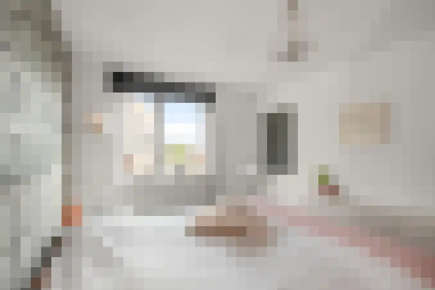 Dolomieten 10 Assendelft thumbnail 24