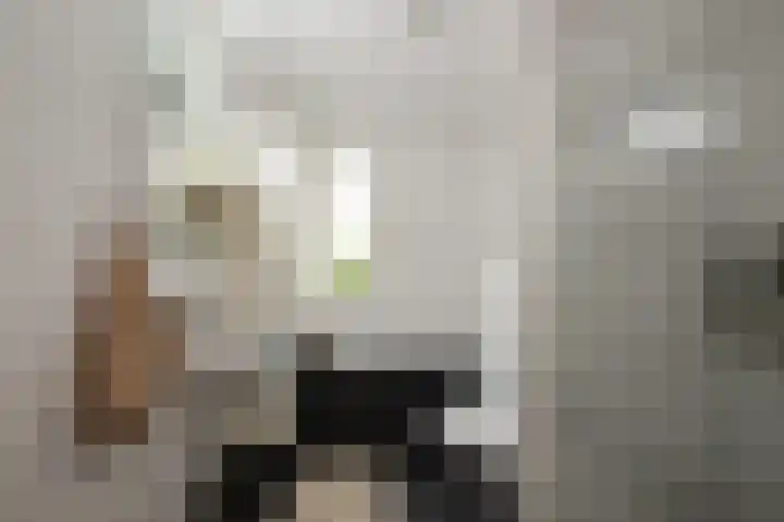 Dolomieten 10 Assendelft thumbnail 25