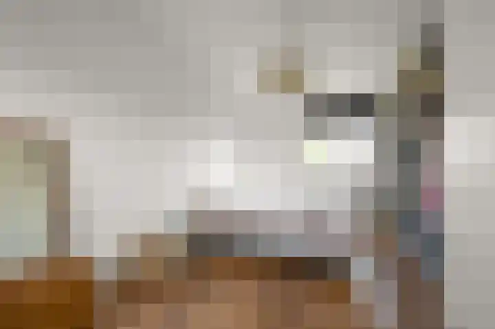 Dolomieten 10 Assendelft thumbnail 26