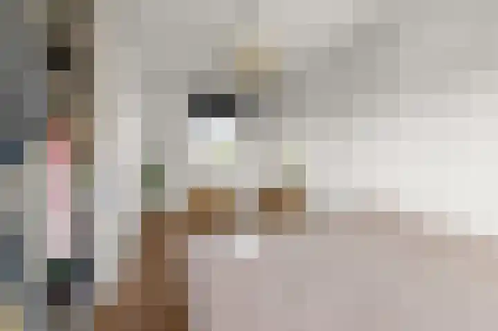 Dolomieten 10 Assendelft thumbnail 27