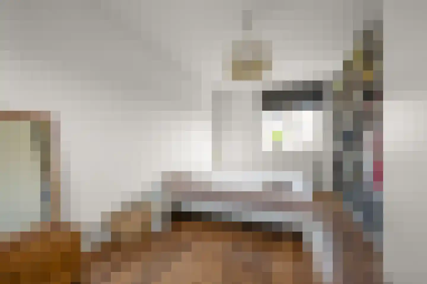 Dolomieten 10 Assendelft thumbnail 28