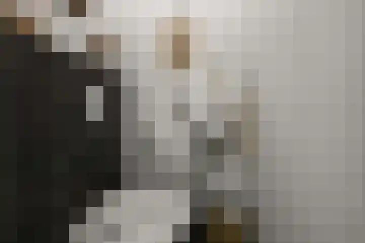 Dolomieten 10 Assendelft thumbnail 4