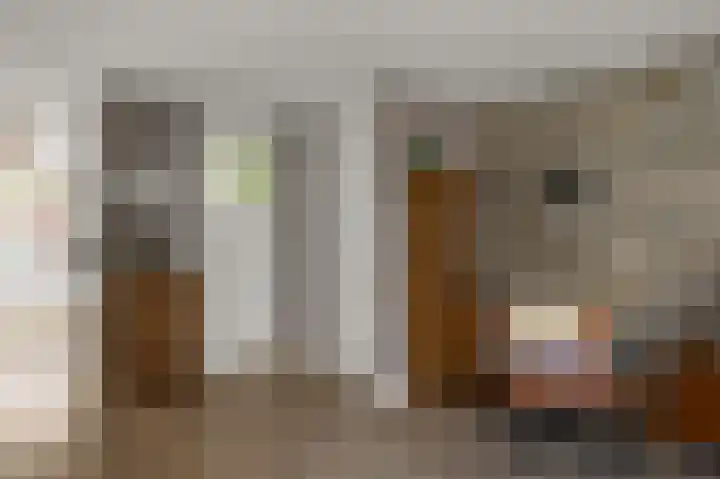 Dolomieten 10 Assendelft thumbnail 6