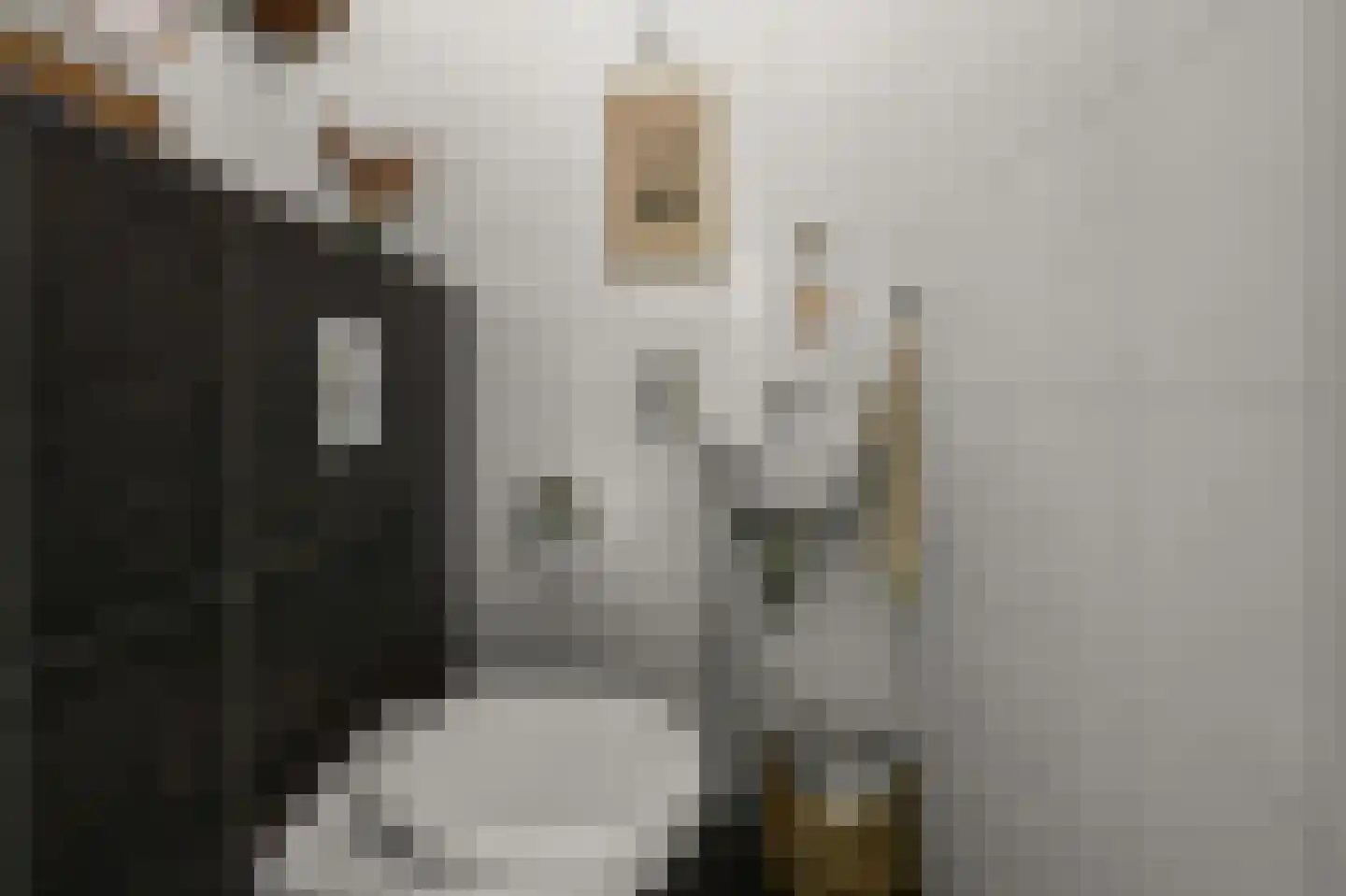 Dolomieten 10 Assendelft thumbnail 6